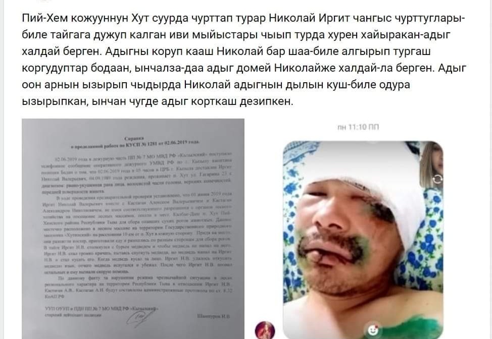 медведь1.jpg