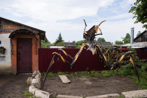 Богородицк_Жук.jpg