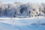 Файл : DSC_0078.JPG
Размер файла : 389KB
Размеры : 1024x681
Дата добавления : Янв 08, 2009 DSC_0078.JPG