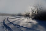 DSC_0098.1-3.jpg