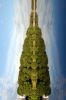 Файл : DSC_0112-2.JPG
Размер файла : 156KB
Размеры : 426x640
Дата добавления : Июль 02, 2008 DSC_0112-2.JPG