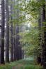 Файл : DSC_0190.jpg
Размер файла : 92KB
Размеры : 426x640
Дата добавления : Окт 07, 2008 DSC_0190.jpg