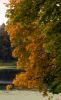 Файл : DSC_0300.JPG
Размер файла : 205KB
Размеры : 392x640
Дата добавления : Сент 27, 2008 DSC_0300.JPG