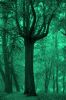 Файл : DSC_0314.jpg
Размер файла : 134KB
Размеры : 532x800
Дата добавления : Окт 12, 2008 DSC_0314.jpg