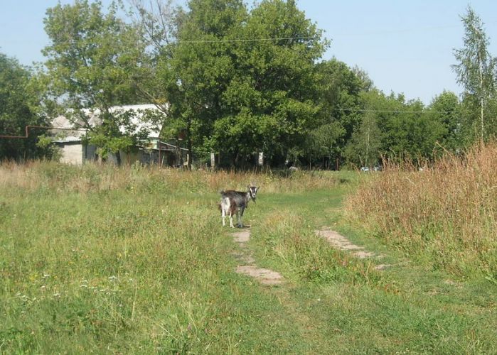 Нажать для просмотра полного размера
