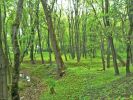 Файл : 08_shutor.JPG
Размер файла : 678KB
Размеры : 800x600
Дата добавления : Окт 02, 2008 08_shutor.JPG