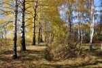 Файл : 2010_zo34.jpg
Размер файла : 431KB
Размеры : 800x531
Дата добавления : Окт 24, 2010 2010_zo34.jpg