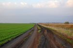 201105_dirtroad.jpg
