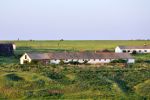 Файл : 201105_pap_farm.jpg
Размер файла : 228KB
Размеры : 800x532
Дата добавления : Июнь 11, 2011 201105_pap_farm.jpg