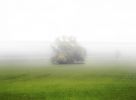 Файл : 201109_fakefog.jpg
Размер файла : 120KB
Размеры : 800x586
Дата добавления : Янв 01, 2012 201109_fakefog.jpg
