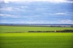 201109_field.jpg