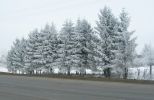 Файл : m4_elki.jpg
Размер файла : 157KB
Размеры : 800x518
Дата добавления : Февр 11, 2008 m4_elki.jpg