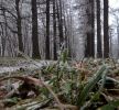 Файл : IMG_162855555.jpg
Размер файла : 1046KB
Размеры : 1449x1339
Дата добавления : Ноябрь 25, 2012 IMG_162855555.jpg