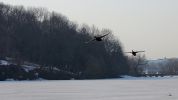 IMG_300000000075.JPG