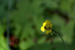 IMG_419563.jpg