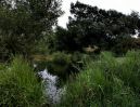 IMG_4824 Panorama.jpg