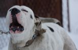 IMG_7736.jpg