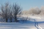 IMG_7808.jpg