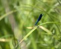 IMG_9446.jpg