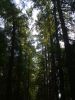 S5003090.JPG