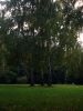 S5003101.JPG