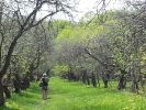 Файл : 20130510_142003.jpg
Размер файла : 2606KB
Размеры : 3264x2448
Дата добавления : Июль 11, 2013 20130510_142003.jpg